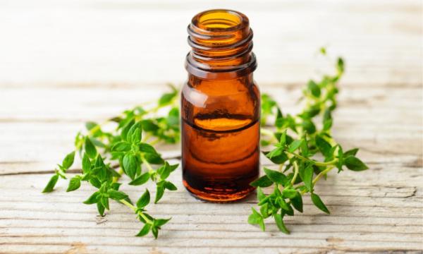 Where do I apply thyme essential oil?