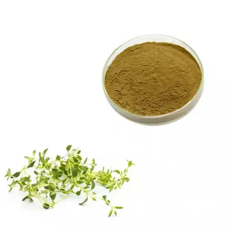 thyme powder wholesalers at best prices