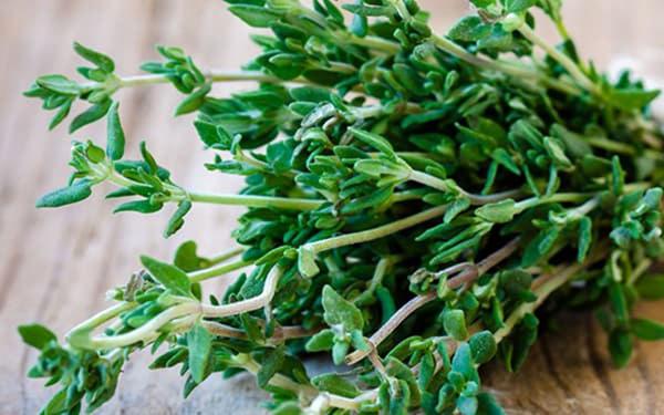What are the side effects of thyme?