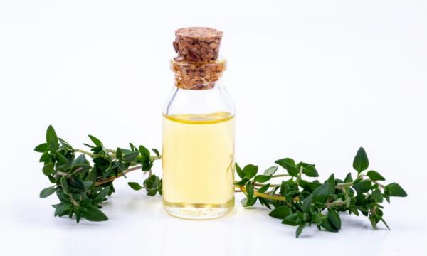 thyme oil supplier on market