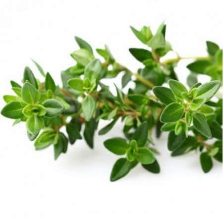 thyme leaves fresh cheapest prices
