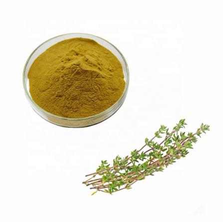 best quality thyme powder wholesalers