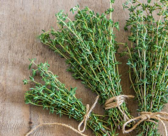 thyme leaves fresh production supply