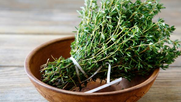 thyme herb bulk price
