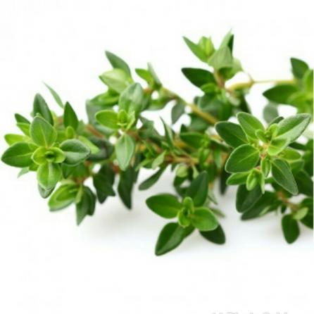 What are thyme leaves good for?